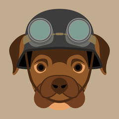 dog face in  helmet vector illustration flat style