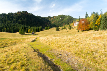 beautiful meadow in Tatra mountains in Poland during autumn