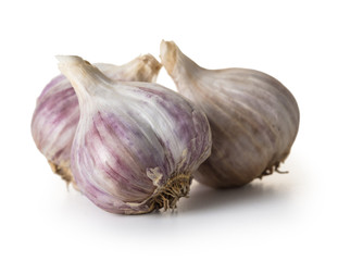 organic garlic closeup