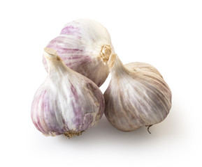 organic garlic closeup