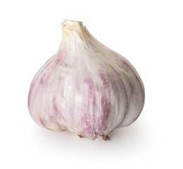 Fototapeta premium organic garlic closeup