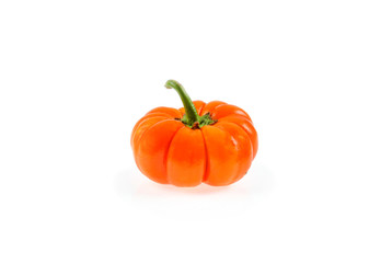 Bitter eggplant on white background