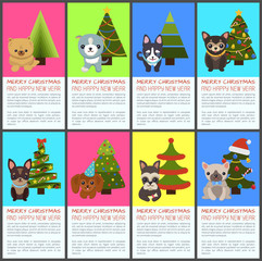 Merry Christmas and Happy New Year Pets and Spruce