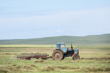 Fototapeta premium hay harvesting
