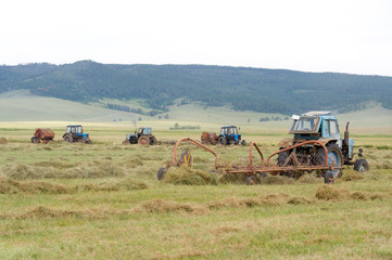 hay harvesting