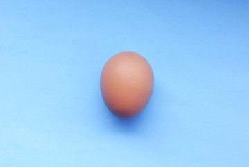 Chicken Egg Over Blue Background 
