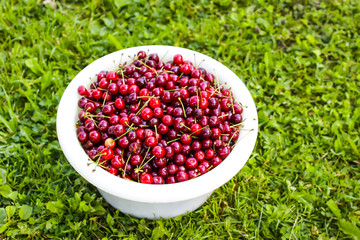 Ripe red sweet cherries with stalks close up.