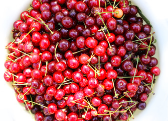 Ripe cherries with stalks.