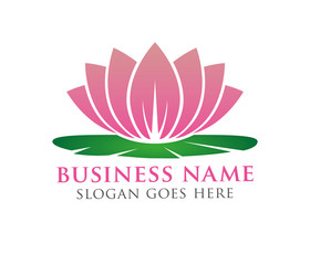 beautiful lotus flower vector logo design