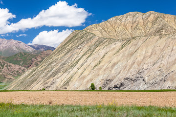 Naklejka premium Nice Mountains in Kyrgyzstan country