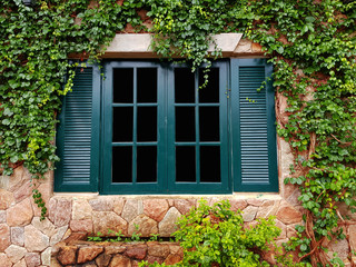 Fototapeta na wymiar Closed window and wall covered by ivy