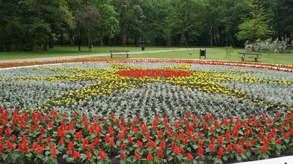 Flowers and park.
