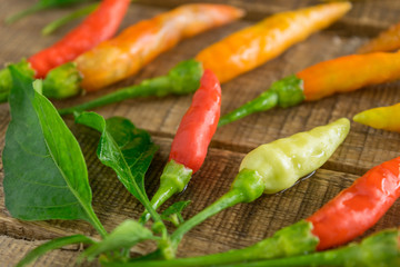 chili, pepper on old table wood background