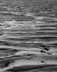 wavy patterns in the beach sand at low tide