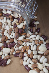 semi e legumi com frumenti, lenticchie, fagioli, piselli, farro, orzo, grano e ceci