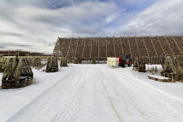 Wooden racks for drying skrei-codfish into stockfish. Laukvik-Vagan kommune-Austvagoya-Lofoten-Norway. 0645