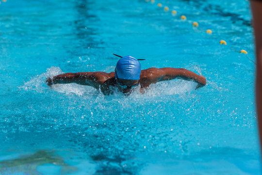 Swimmer African Butterfly Action