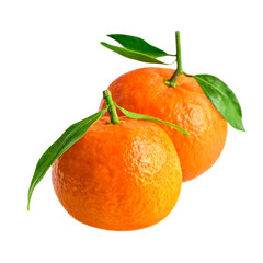 Mandarins or tangerines isolated on white with clipping path. Two tangerines in close-up