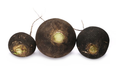 black radish isolated on white background