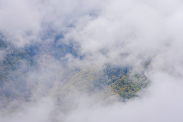 Autumn forest thru the clouds from above