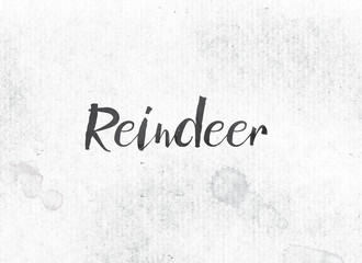 Reindeer Concept Painted Ink Word and Theme