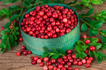 Cranberry or lingonberry close up