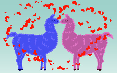 Two lovers kissing llamas surrounded by hearts. Love in the air, postcard to the day of Saint Valentine