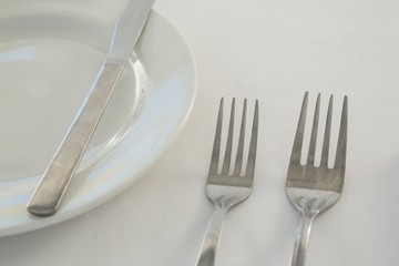 Fork and butter knife with plate