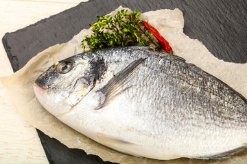 raw dorada fish