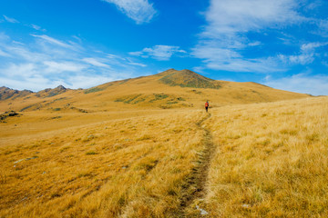 Fototapeta premium Path thru golden autumn mountains, Lagodekhi