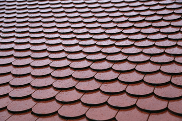 Roof tiles on the roof