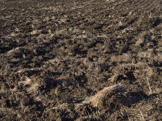 Plowed soil field