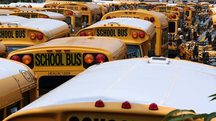 School buses in bus depot, New York
