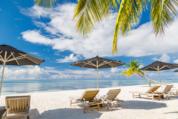 Perfect beach view. Summer holiday and vacation design. Inspirational tropical beach, palm trees and white sand. Tranquil scenery, relaxing beach, tropical landscape design. Moody landscape