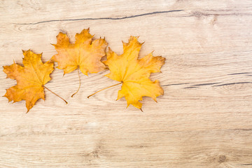 Naklejka na ściany i meble Autumn leaves on wooden background. 