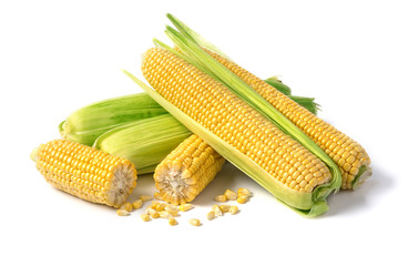 corn on white background