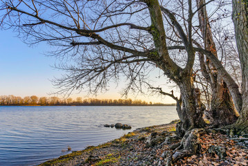 Obraz premium The Dnieper River in Kiev during a cold and clear winter afternoon