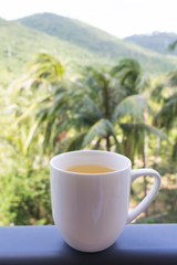 White cup of Chinese green tea against the background of palms and mountains of southern China