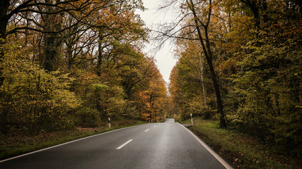 Fototapeta premium Autumn