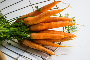 Karottenbund, Mohrrübenbund, Möhrenbund in einem Drahtkorb vor weißem Hintergrund