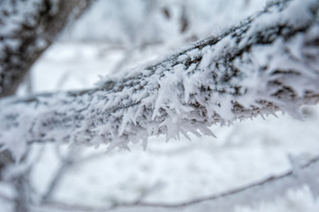 Winter landscape in Russia