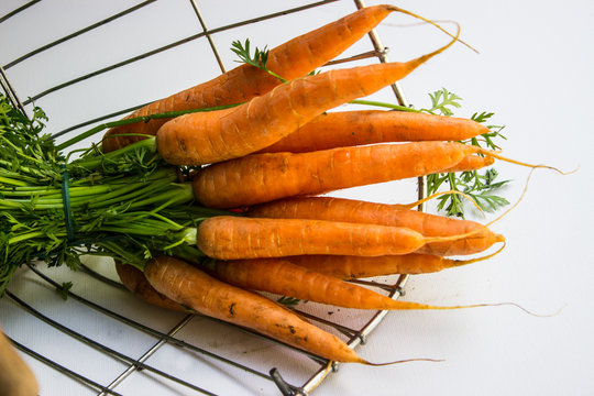 Karottenbund, Mohrrübenbund, Möhrenbund in einem Drahtkorb vor weißem Hintergrund
