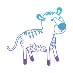 tiger cartoon in degraded blue to purple color silhouette vector illustration