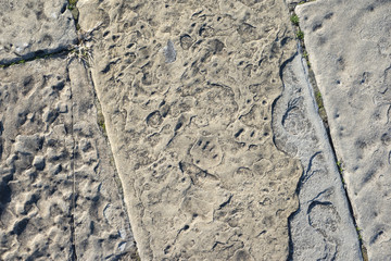 sea pier pavement texture
