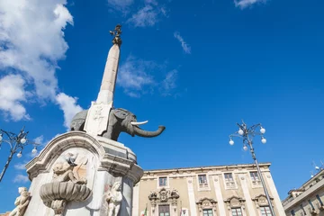 Papier Peint photo autocollant Fontaine Symbol of Catania is Fountain of the Elephant.