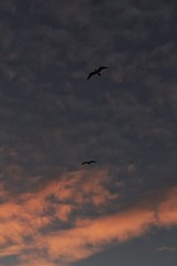 Sunset in Santa Pola