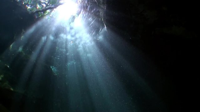 Yucatan Mexico cenotes underwater. Scuba diving in clean and clear underground water.