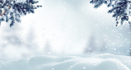Christmas background with fir tree branch.Winter landscape