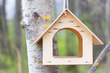 bird house in a park