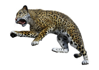 3D Rendering Big Cat Jaguar on White